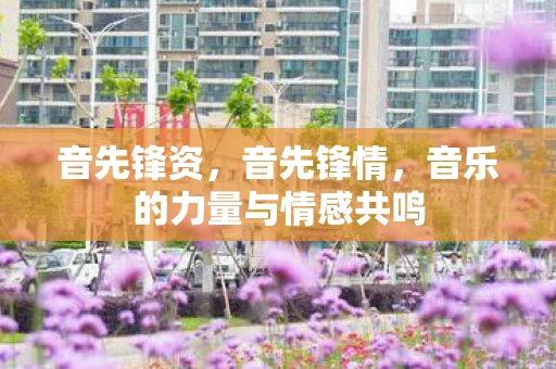 音先锋资，音先锋情，音乐的力量与情感共鸣
