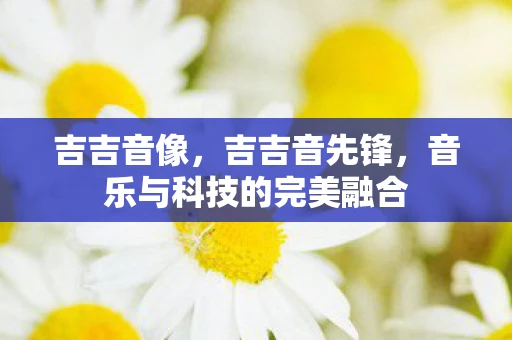 吉吉音像，吉吉音先锋，音乐与科技的完美融合