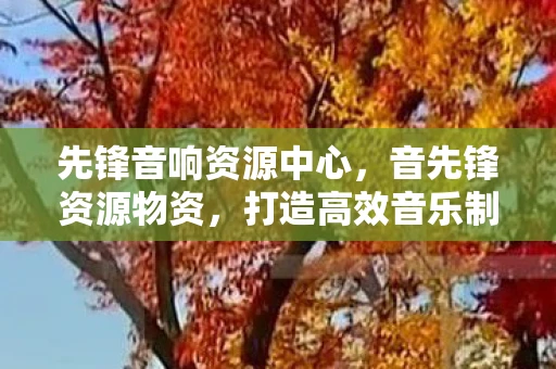 先锋音响资源中心，音先锋资源物资，打造高效音乐制作与传播的基石
