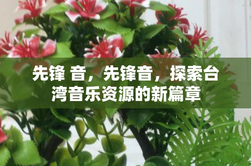 先锋 音，先锋音，探索台湾音乐资源的新篇章