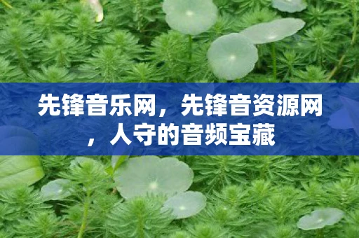 先锋音乐网，先锋音资源网，人守的音频宝藏