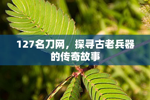 127名刀网，探寻古老兵器的传奇故事