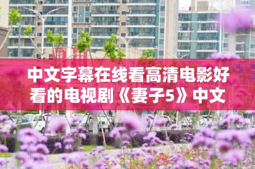 中文字幕在线看高清电影好看的电视剧《妻子5》中文字幕，跨越语言障碍的桥梁