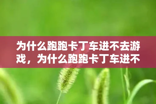 为什么跑跑卡丁车进不去游戏，为什么跑跑卡丁车进不去？原因分析与解决方案