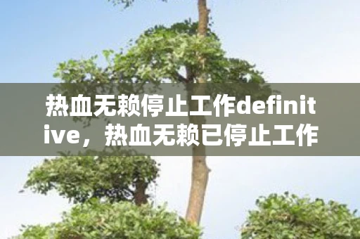 热血无赖停止工作definitive，热血无赖已停止工作，游戏迷的无奈与探索
