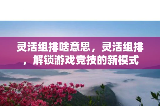 灵活组排啥意思，灵活组排，解锁游戏竞技的新模式