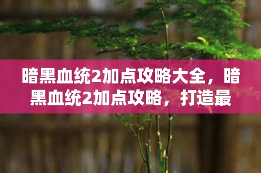 暗黑血统2加点攻略大全，暗黑血统2加点攻略，打造最强战士