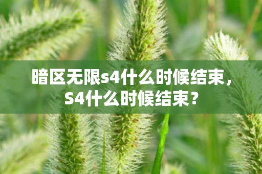 暗区无限s4什么时候结束，S4什么时候结束？