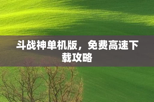 免费高速下载攻略图片