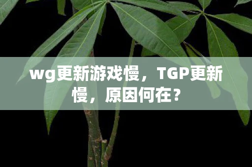 wg更新游戏慢，TGP更新慢，原因何在？