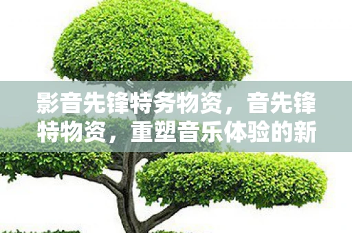 影音先锋特务物资，音先锋特物资，重塑音乐体验的新篇章