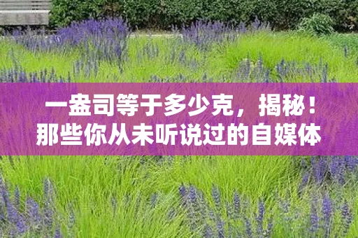 一盎司等于多少克，揭秘！那些你从未听说过的自媒体运营技巧
