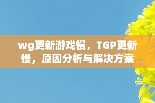wg更新游戏慢，TGP更新慢，原因分析与解决方案