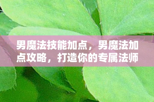 男魔法技能加点，男魔法加点攻略，打造你的专属法师
