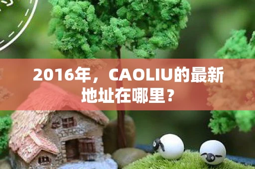 2016年，CAOLIU的最新地址在哪里？