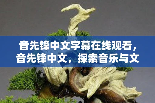 音先锋中文字幕在线观看，音先锋中文，探索音乐与文化的深度交汇