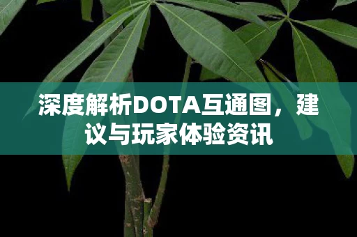 深度解析DOTA互通图图片