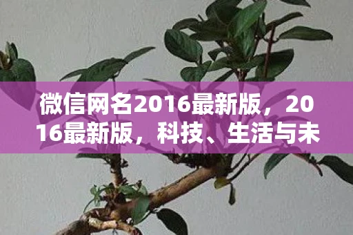 微信网名2016最新版，2016最新版，科技、生活与未来的交汇点