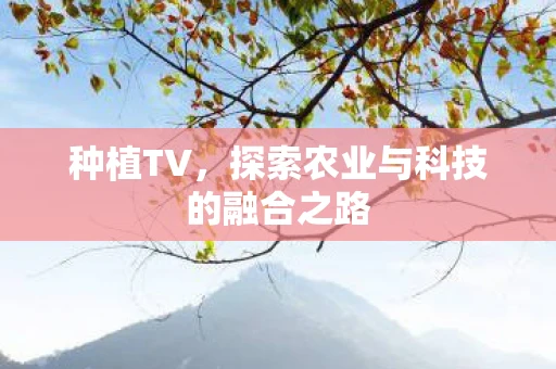 种植TV，探索农业与科技的融合之路