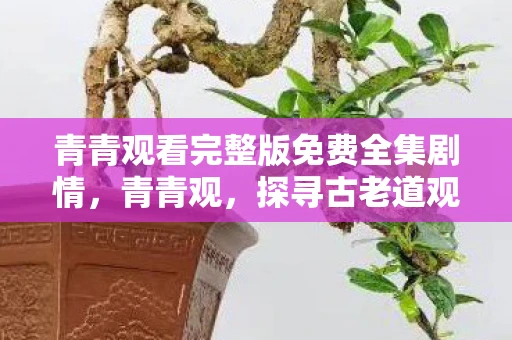 青青观看完整版免费全集剧情，青青观，探寻古老道观的神秘魅力