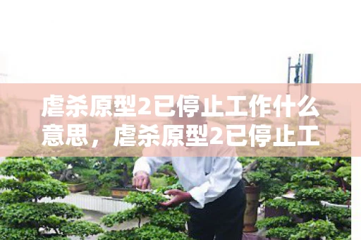 虐杀原型2已停止工作什么意思，虐杀原型2已停止工作，游戏界的遗憾与回忆