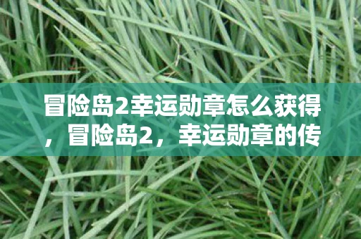 冒险岛2幸运勋章怎么获得，冒险岛2，幸运勋章的传奇