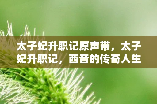 太子妃升职记原声带，太子妃升职记，西音的传奇人生