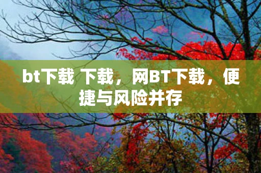 bt下载 下载，网BT下载，便捷与风险并存