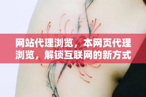 网站代理浏览，本网页代理浏览，解锁互联网的新方式