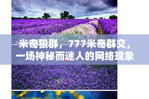 米奇狼群，777米奇群交，一场神秘而迷人的网络现象