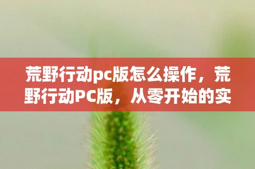 荒野行动pc版怎么操作，荒野行动PC版，从零开始的实战指南