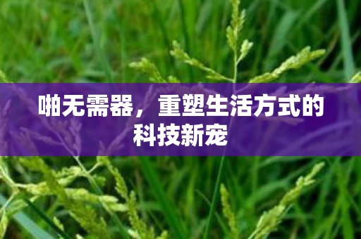啪无需器，重塑生活方式的科技新宠