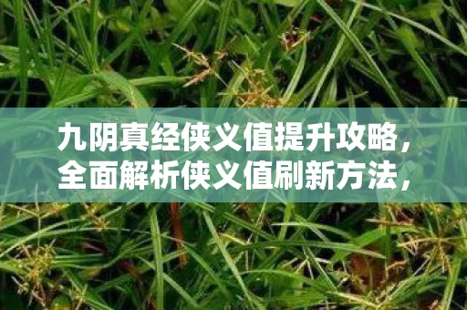 九阴真经侠义值提升攻略图片