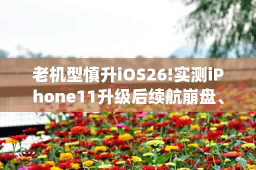 老机型慎升iOS26!实测iPhone11升级后续航崩盘、性，老机LSJ95，经典再现，情怀依旧