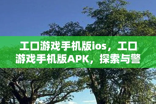 工口游戏手机版ios，工口游戏手机版APK，探索与警示