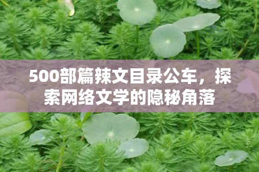 500部篇辣文目录公车，探索网络文学的隐秘角落