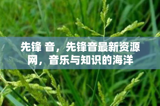 先锋 音，先锋音最新资源网，音乐与知识的海洋
