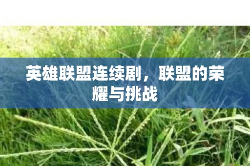 联盟的荣耀与挑战图片