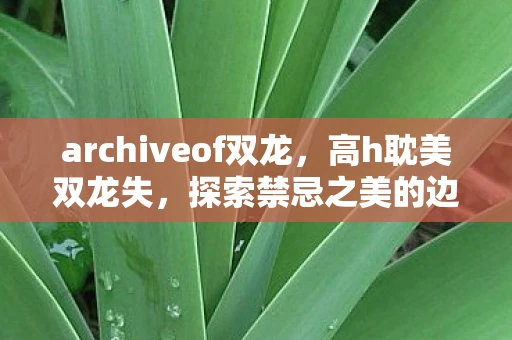 archiveof双龙，高h耽美双龙失，探索禁忌之美的边界