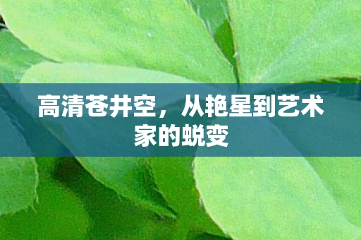 高清苍井空，从艳星到艺术家的蜕变