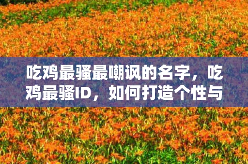 吃鸡最骚最嘲讽的名字，吃鸡最骚ID，如何打造个性与实力并存的昵称