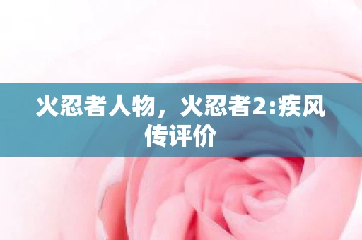 火忍者人物，火忍者2:疾风传评价