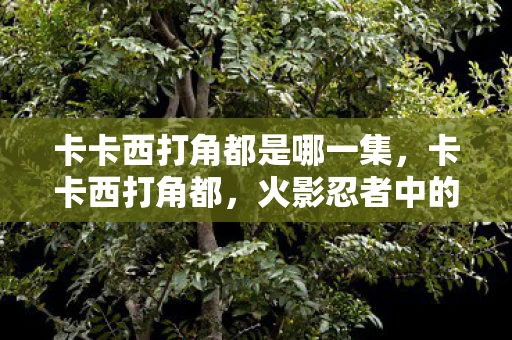 卡卡西打角都是哪一集，卡卡西打角都，火影忍者中的经典战斗