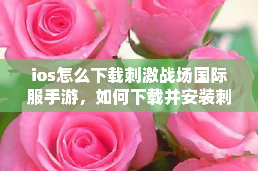 ios怎么下载刺激战场国际服手游，如何下载并安装刺激战场国际服（iOS版）