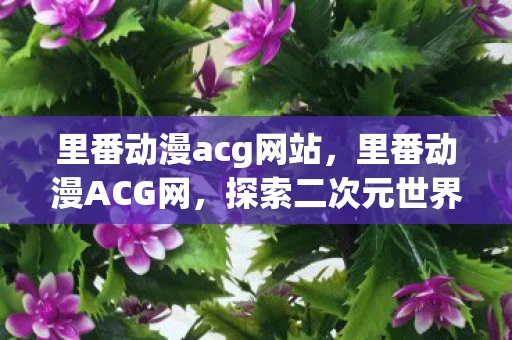 里番动漫acg网站，里番动漫ACG网，探索二次元世界的无尽魅力