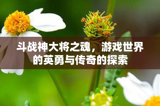 游戏世界的英勇与传奇的探索图片