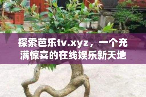 探索芭乐tv.xyz，一个充满惊喜的在线娱乐新天地