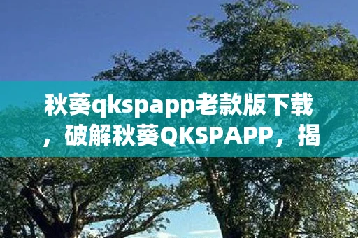 秋葵qkspapp老款版下载，破解秋葵QKSPAPP，揭秘背后的秘密