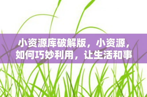 小资源库破解版，小资源，如何巧妙利用，让生活和事业更上一层楼