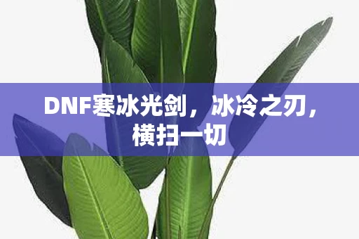 DNF寒冰光剑图片